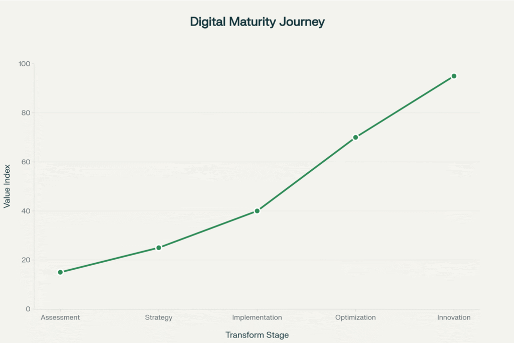 digital maturity journey graph by mountain monk